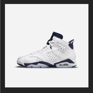 Brand new Air Jordan 6 Retro